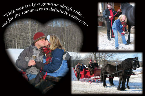 Friesians of Majesty - Testimonial about Sleigh Ride