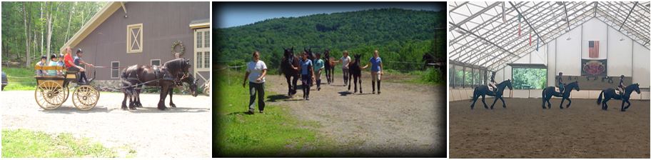 Girls Camp Collage