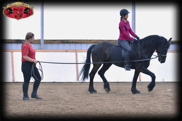 Dressage Riding Lessons